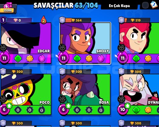 2020 NADİR BRAWL STARS HESABI