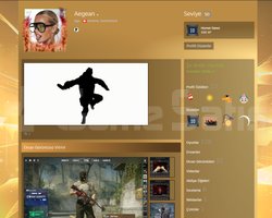 22 MADALYALI 128 OYUN 50 SV STEAM KOLEKSİYONLUK