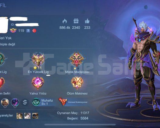 Küresel Koleksiyoner Hesabı | 631 skin