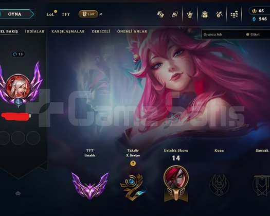 TFT MASTER İÇİ DOLU HESAP