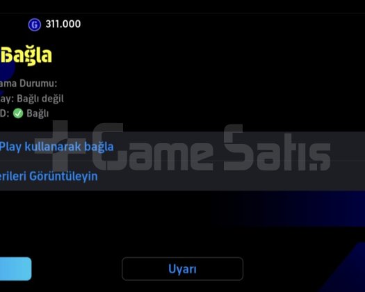 3090 ÇİÇEK GİBİ BAŞLANGIÇ HESABI