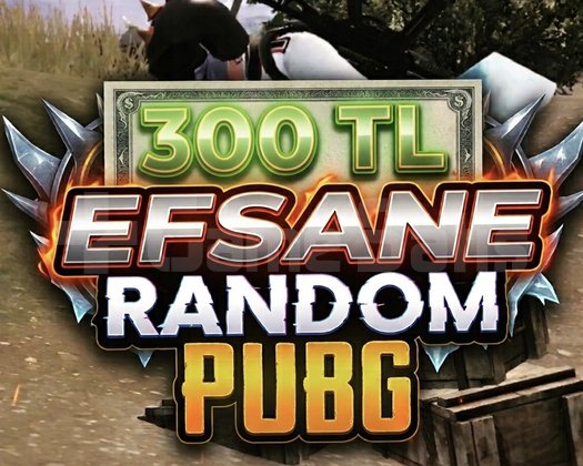 300 TL EFSANE RANDOM PUBG