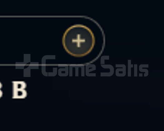 TR ELMAS 1 660+ LVL 400+ KOSTUM 11 YILLIK HESAP