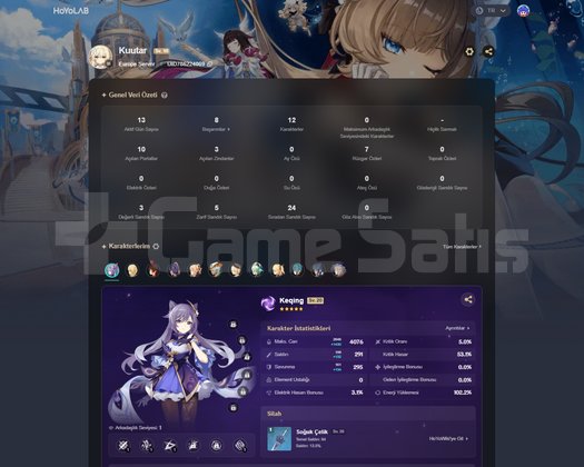 TL 3 | 5X5 Silver Wolf LV.999 + Genshin Hesabı