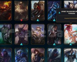 EUW 1200 LP MASTER HESAP