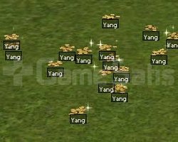 1 M YANG