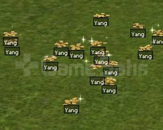 1 M YANG