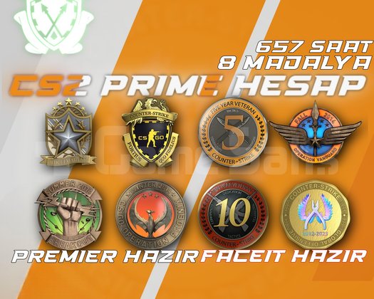 RUST+8 MADALYA/657 SAAT +FACEIT +PREMIER+400TL ENV