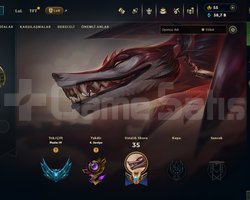 ELLE KASILMIŞ 70WR PLAT 4 HESAP 40K MAVİ ÖZ