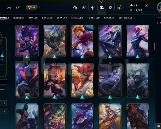 547 LVL + 154 KOSTÜM + 140 HERO + GOLD 2 + MAİL!