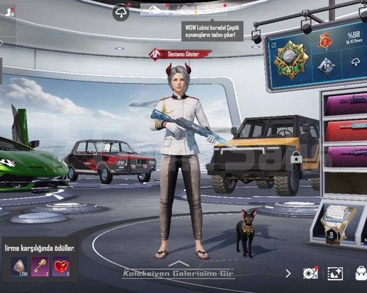FUL KOMBİN SİLAH DOLUSU TEMİZ HESAP