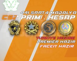 TR HESAP !! 441 SAAT +FACEIT + PREMIER + ETS2