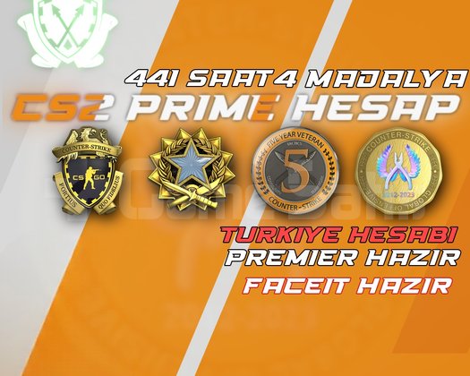 TR HESAP !! 441 SAAT +FACEIT + PREMIER + ETS2