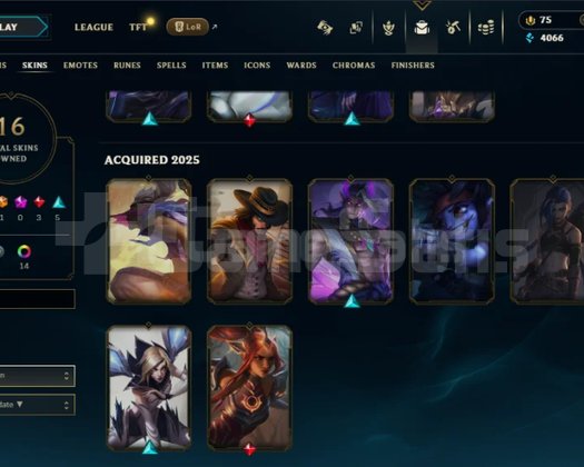 WEST ADC MAIN OLMALIK D4 KALİTELİ HESAP