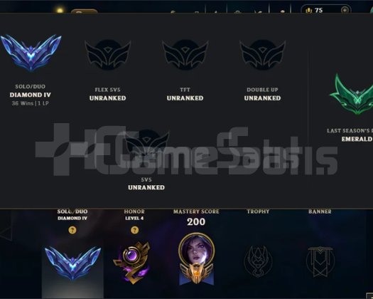 WEST ADC MAIN OLMALIK D4 KALİTELİ HESAP