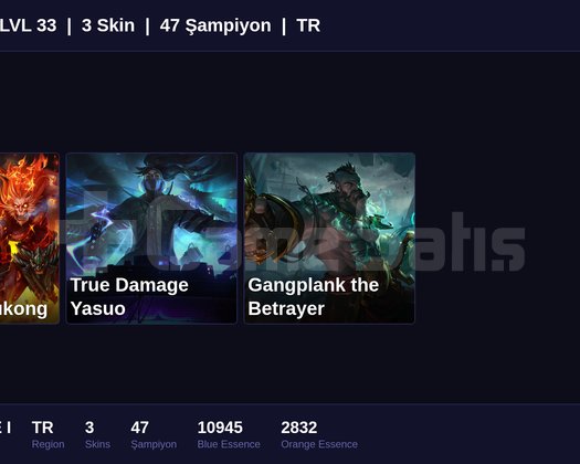 TR / 33 LVL + 3 SKİN + BRONZE I !!