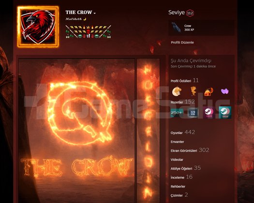 112 LEVEL 12 YILLIK STEAM HESABI