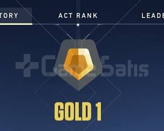 GOLD 1 TEMİZ HESAP
