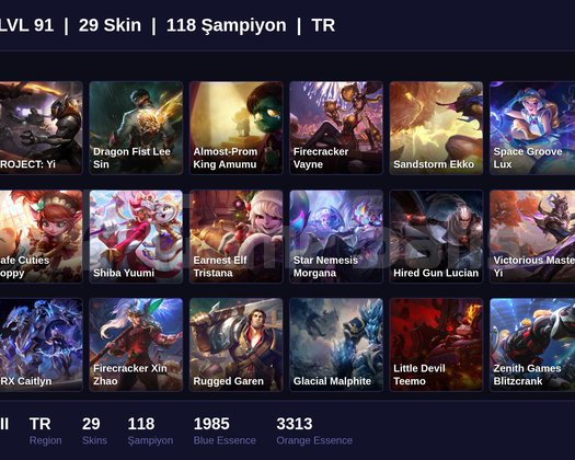 TR / 91 LVL + 29 SKİN + SILVER III !!