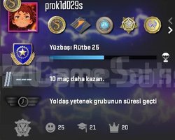 14level - 10 madalya - 48 oyun - fresh faceit