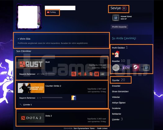 11 MADALYALI FACEİT 3.360 SAATLİ RUST PUBG PLUS RA