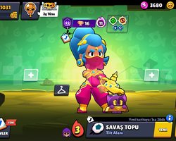 1K SHELLY MAİN HESAP