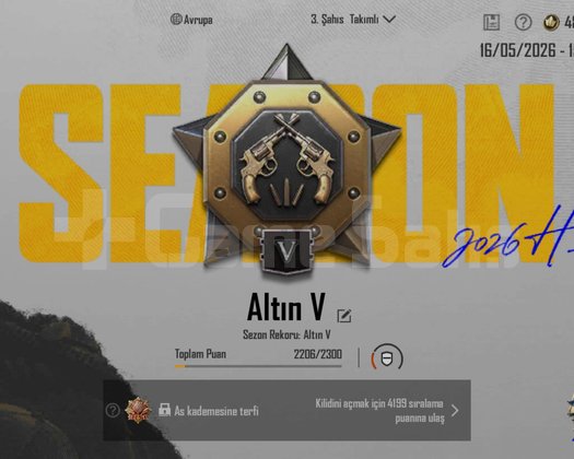 TEK BAĞ !! ALTIN V + 2x ID KARTI ++