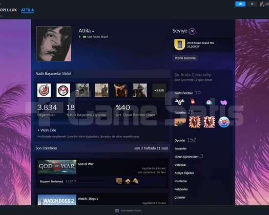 70 Level | 150+ Oyun | Bol A+ Oyunlu Steam Hesabı