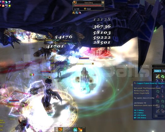 Silkroad Online Türkiye Lidya Serverı 105 LVL WİZ