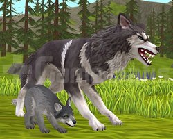 Wildcraft | Herşey Açık - Vahşi Ruh |