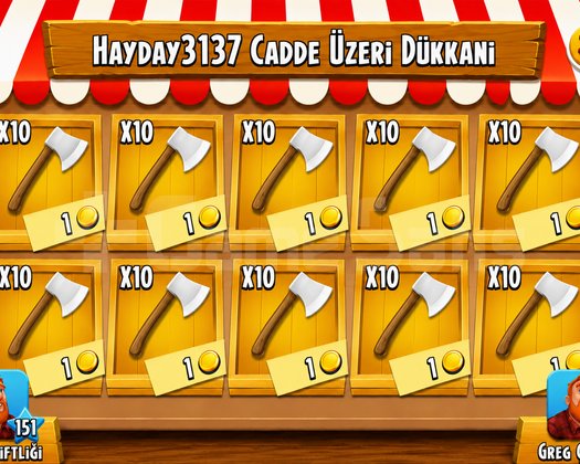 300 ADET BALTA