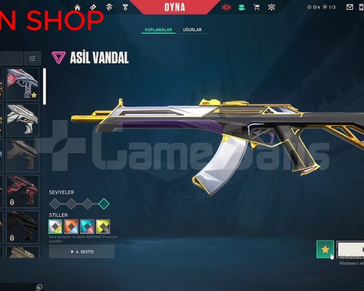 AEMONDIR VANDALLI ORTA SEVİYE MAİNLEMELİK ACC!