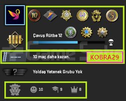 FACEİT+10 MADALYALI 324 WİN 1099 SAAT SEÇKİN