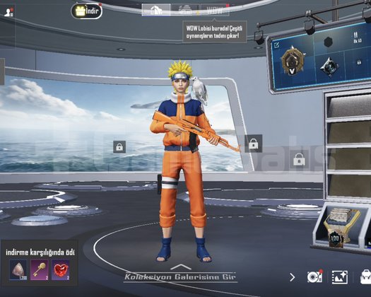 17LVL ALTIN V 2 SKİN 2 İD KART PREMİUM SANDIKLI