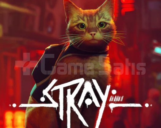 Stray PS5 + GARANTİLİ