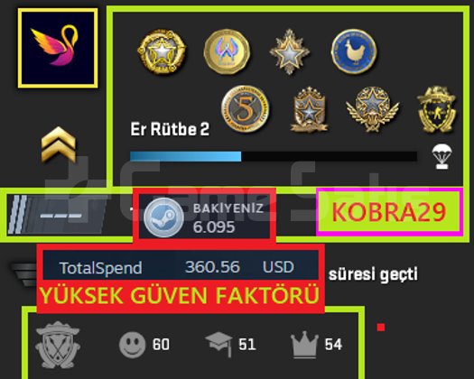 FACEİT+20K OYUN+8 MADALYA 602 WİN 1376 SAAT SEÇKİN