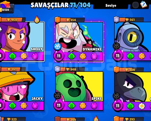 7 YILLIK 100 KOSTÜMLÜ BS+CR+CoC HESAP