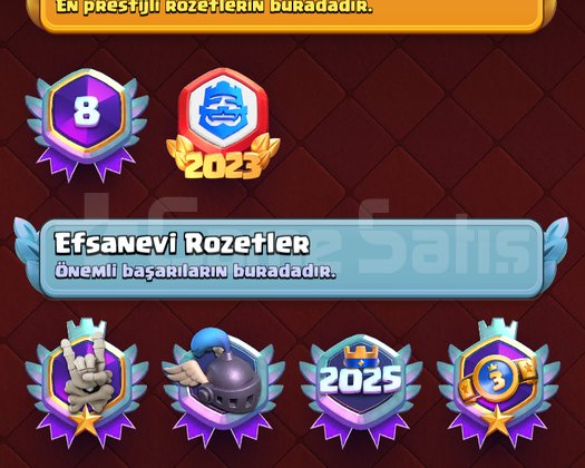 50+ 16 level 35 evrim 9 kahramanlı süper hesap