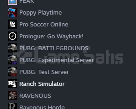STEAM HESAP ACİL SATILIK
