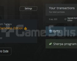 TARKOV EOD HESAP + ARENA + PVE