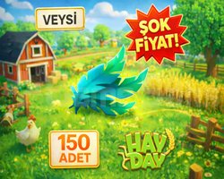 KAMPANYA 150 tüy hay day
