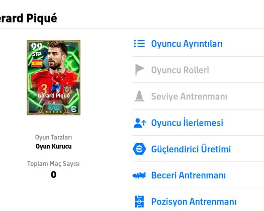 106 PIQUE BASLANGIC HESABII TEK BAAAG