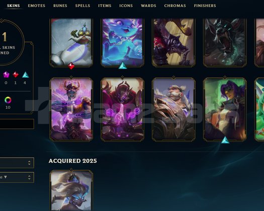94 CHAMP 11SKIN 70WR 219 LP +35 -25 HANDMADE