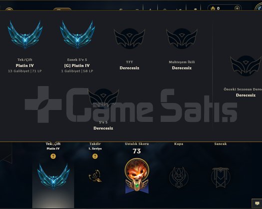 TR MAİL DEĞİŞEN HANDMADE PLAT HESAP +30 LP -10 LP