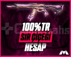 100TR VALORANT SIR ÇİÇEĞİ RANDOM HESAP
