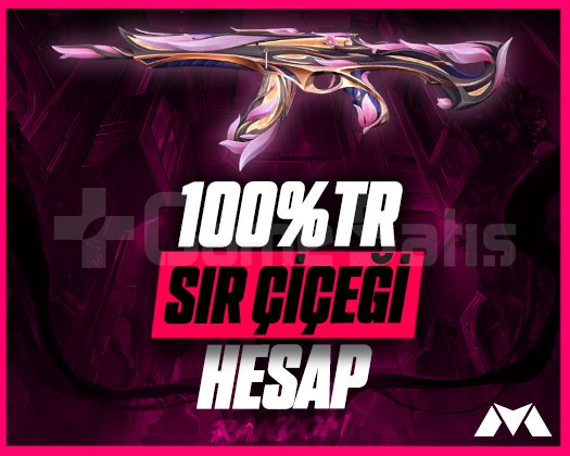 100TR VALORANT SIR ÇİÇEĞİ RANDOM HESAP