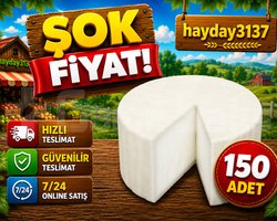 KAMPANYA 150 adet keçi peyniri