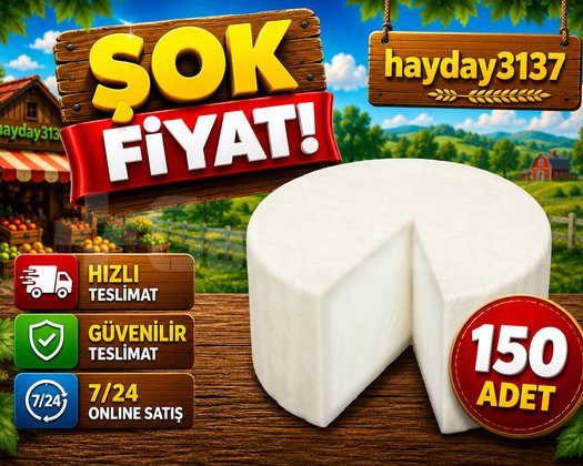 KAMPANYA 150 adet keçi peyniri