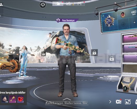Tertemiz pubg hesabı