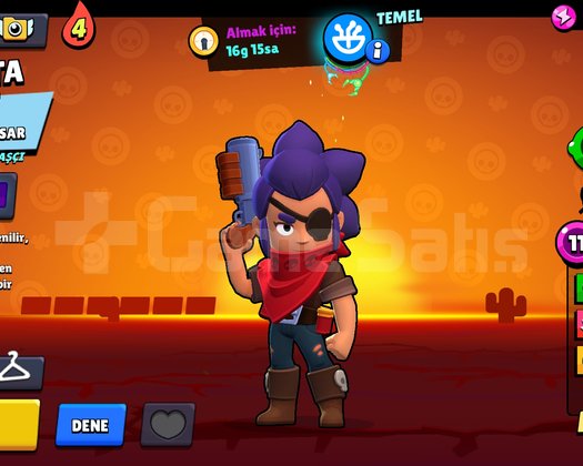 1K Shelly Main